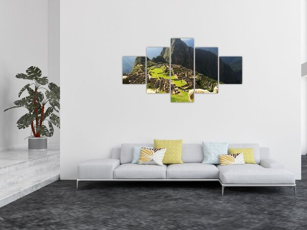 Obraz - Lamy na Machu Picchu (125x70 cm)