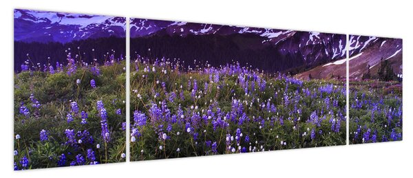 Obraz - Wulkan i kwiaty (170x50 cm)