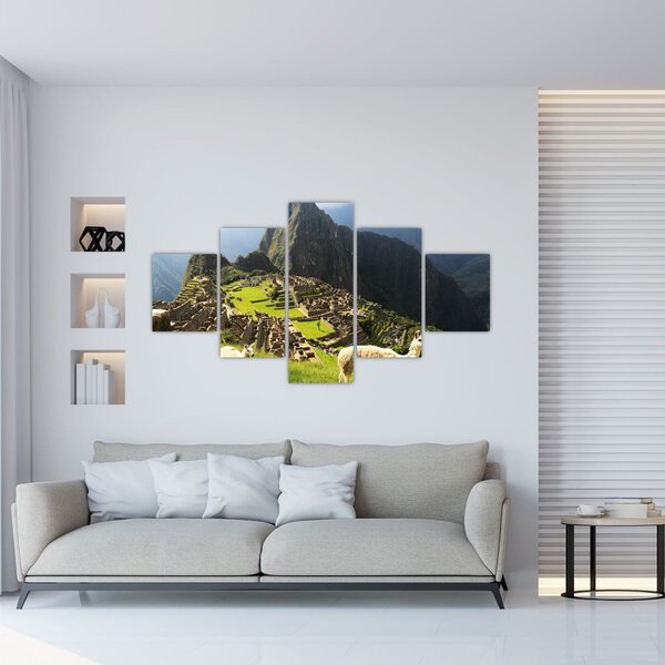 Obraz - Lamy na Machu Picchu (125x70 cm)