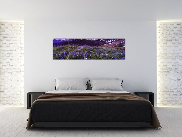 Obraz - Wulkan i kwiaty (170x50 cm)
