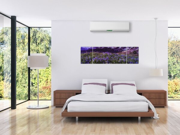 Obraz - Wulkan i kwiaty (170x50 cm)