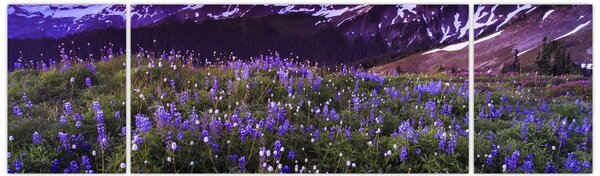 Obraz - Wulkan i kwiaty (170x50 cm)