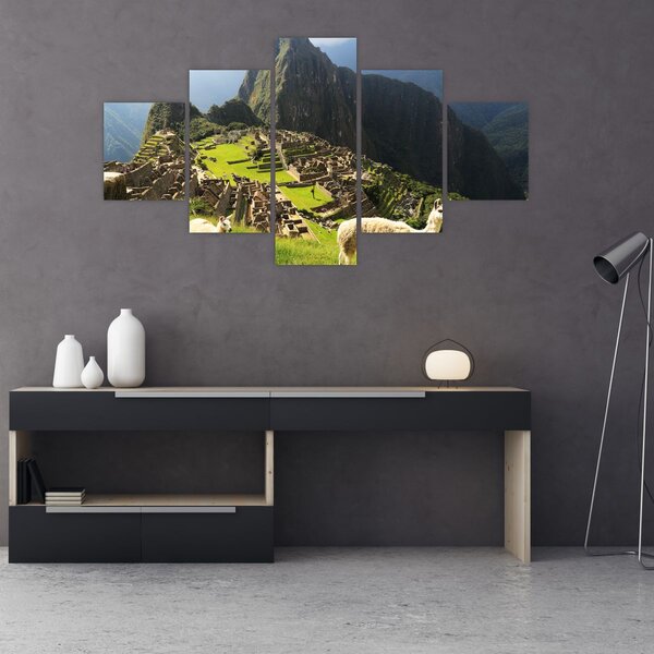 Obraz - Lamy na Machu Picchu (125x70 cm)