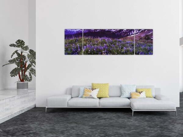 Obraz - Wulkan i kwiaty (170x50 cm)