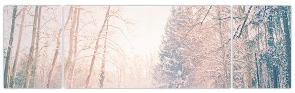 Obraz - Widok na las (170x50 cm)