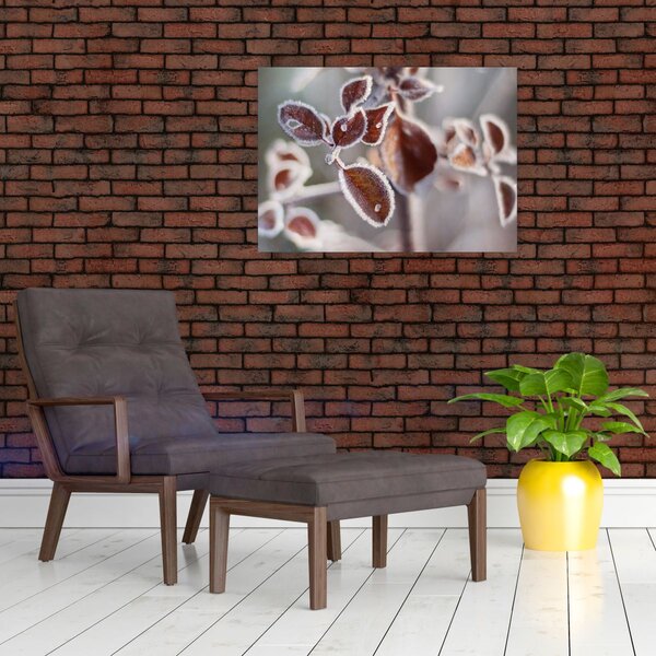 Obraz - Szczegół liści (70x50 cm)