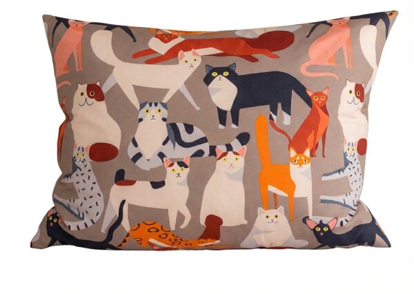 Poszewka na poduszkę z mikrofibry CATMOSPHERE 70x90 cm, kolorowa