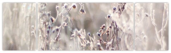 Obraz - Roślina (170x50 cm)