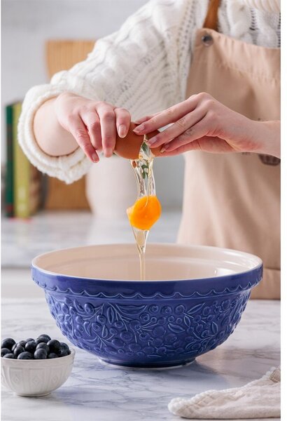 Niebieska kamionkowa misa ø 26 cm Fruits Blueberry – Mason Cash