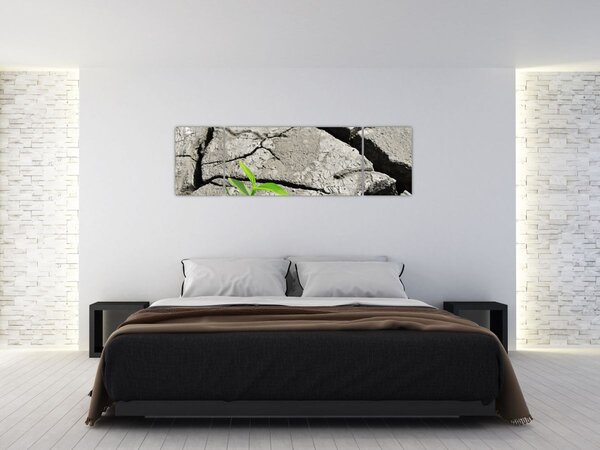 Obraz - Pęknięcia (170x50 cm)