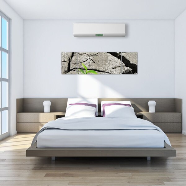 Obraz - Pęknięcia (170x50 cm)