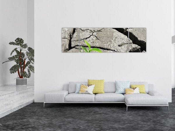 Obraz - Pęknięcia (170x50 cm)