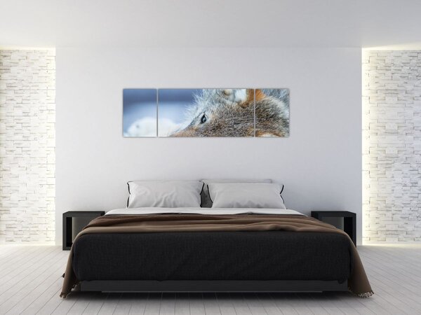 Obraz - Wilk (170x50 cm)
