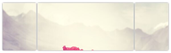 Obraz - Maki (170x50 cm)