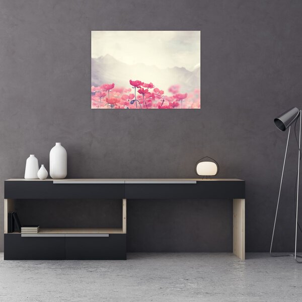 Obraz - Maki (70x50 cm)