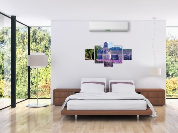 Obraz - Lewandowe pole (125x70 cm)