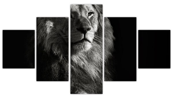 Obraz - Lew (125x70 cm)