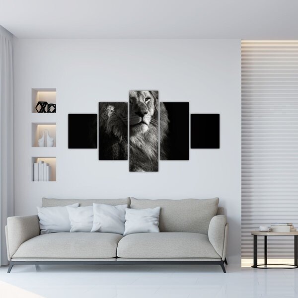 Obraz - Lew (125x70 cm)