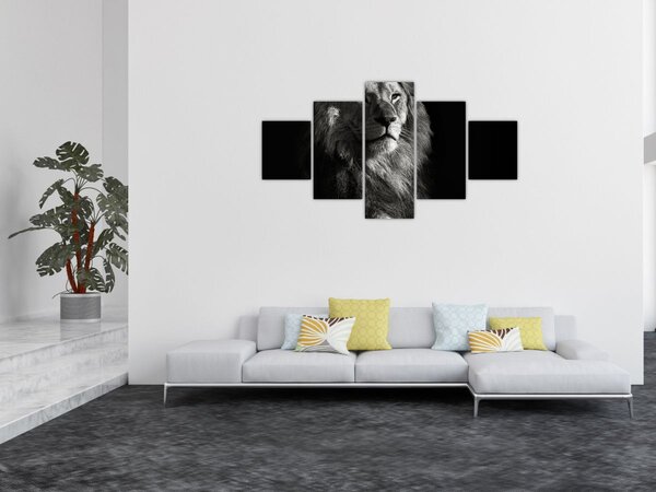 Obraz - Lew (125x70 cm)