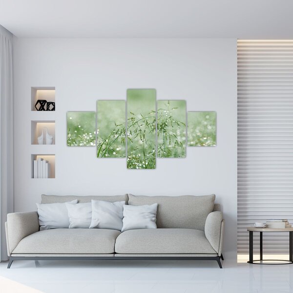 Obraz - Rosa na trawie (125x70 cm)