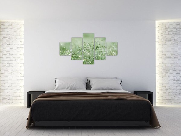 Obraz - Rosa na trawie (125x70 cm)