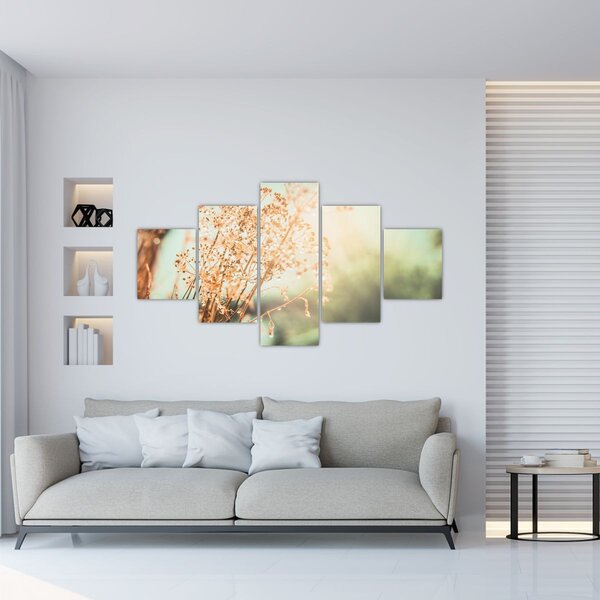 Obraz - Rośliny łąkowe (125x70 cm)