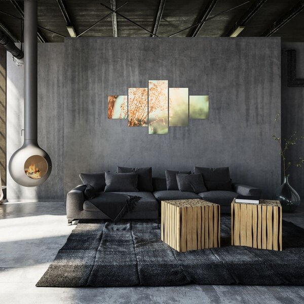 Obraz - Rośliny łąkowe (125x70 cm)