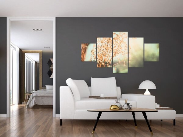 Obraz - Rośliny łąkowe (125x70 cm)