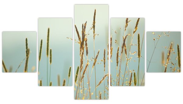 Obraz - Łąkowa chwila (125x70 cm)
