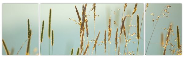 Obraz - Łąkowa chwila (170x50 cm)