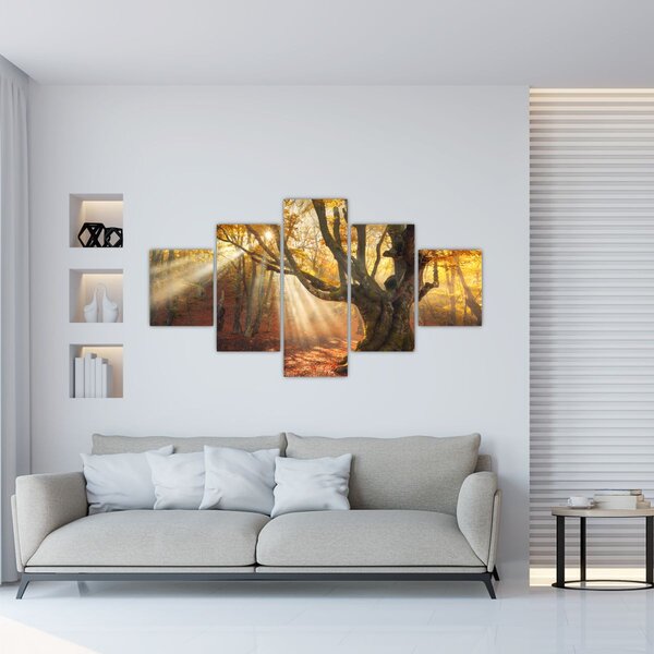 Obraz - Jesienny świt (125x70 cm)