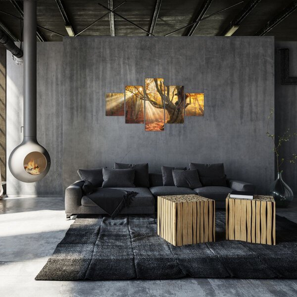 Obraz - Jesienny świt (125x70 cm)
