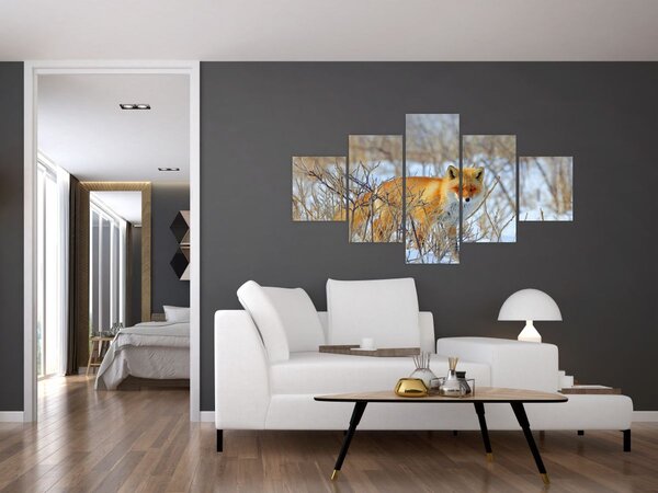 Obraz - Lis (125x70 cm)