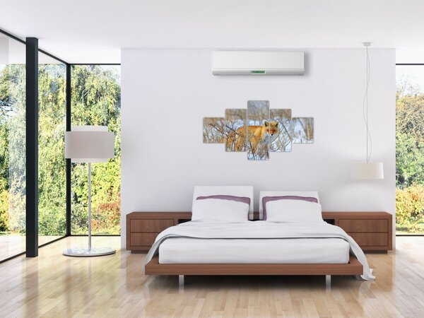 Obraz - Lis (125x70 cm)
