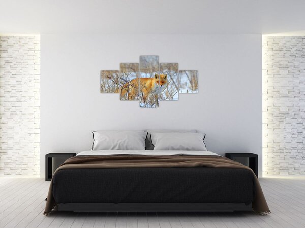 Obraz - Lis (125x70 cm)