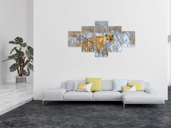 Obraz - Lis (125x70 cm)
