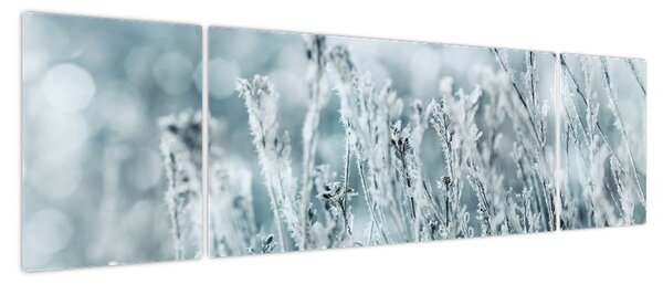 Obraz - Magia zimy (170x50 cm)