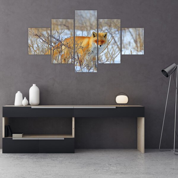 Obraz - Lis (125x70 cm)