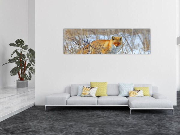 Obraz - Lis (170x50 cm)