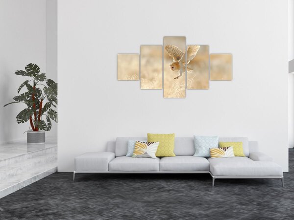 Obraz - Sowa (125x70 cm)