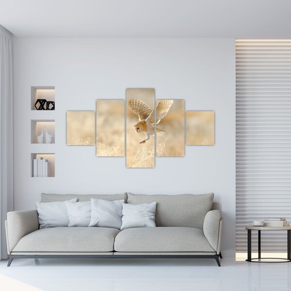 Obraz - Sowa (125x70 cm)