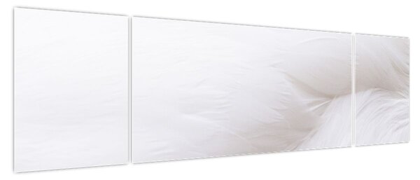 Obraz - Szczegół piórka (170x50 cm)