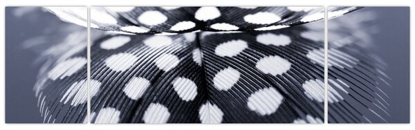 Obraz - Piórko (170x50 cm)