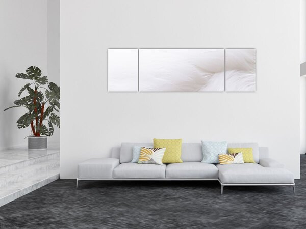 Obraz - Szczegół piórka (170x50 cm)