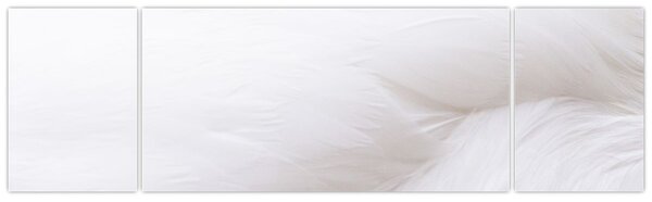 Obraz - Szczegół piórka (170x50 cm)