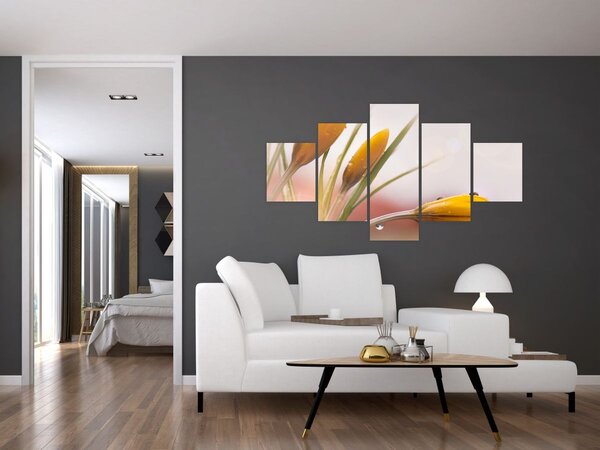 Obraz - Wiosenne kwiaty (125x70 cm)