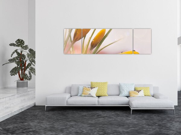 Obraz - Wiosenne kwiaty (170x50 cm)