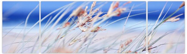 Obraz - Bryza (170x50 cm)