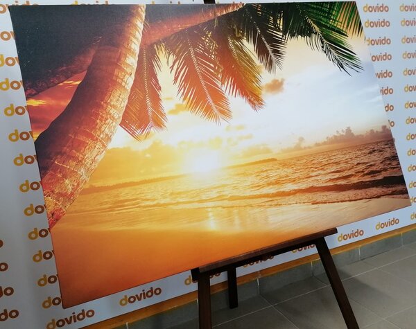 Obraz wschód słońca na karaibskiej plaży
