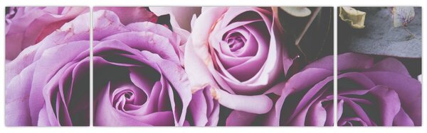 Obraz - Różyczki (170x50 cm)